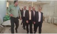 کار بزرگی که استاندار جدید را به شهرک‌های صنعتی کشاند/ بخش کشاورزی باز هم روسپید شد