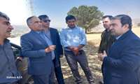 بازدید رئیس سازمان جهاد کشاورزی کهگیلویه و بویراحمد از سه ایستگاه پمپاژ در آغاز هفته دولت