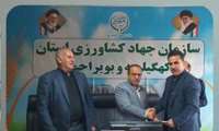 معاون بهبود تولیدات گیاهی منصوب شد