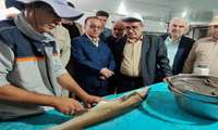 دستور استاندار برای رفع یک مانع کوچک از بزرگترین مجتمع تولید ماهیان خاویاری غیرساحلی کشور؛ وقتی ۹ ماه به اندازه ۱۱ سال کار می‌شود