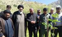 لبیک سبز منابع طبیعی کهگیلویه و بویراحمد به دستور مقام معظم رهبری با کاشت ۸۰۰ اصله نهال امید