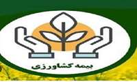 ۹ هزار و ۴۱۷ هکتار از اراضی کشاورزی و باغی باشت تحت پوشش بیمه