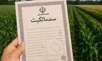 صدور ۳۲۷ سند تک برگ اراضی کشاورزی در باشت