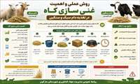 روشهای عملی و اهمیت غنی سازی کاه در تغذیه دام سبک و سنگین 