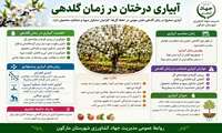 آبیاری درختان در زمان گلدهی