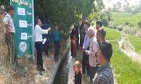 انتقال دانش به شالیکاران روستای بیلوخر مارگون + فیلم
