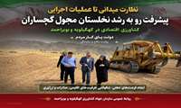 پیشرفت رو به رشد نخلستان مجول گچساران؛ کشاورزی اقتصادی در کهگیلویه و بویراحمد