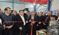 افتتاح کارخانه ۱۸ هزار تنی خوراک دام، طیور و آبزیان در دنا