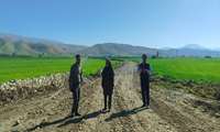 تسهیل کشاورزی در باشت با احداث جاده بین مزارع دره نین
