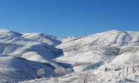 طبیعت زمستانی شهر مارگون، عکاس: سید ابی طالب موسوی موید، زمان عکاسی: ۱۴ دی ۱۴۰۴