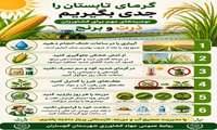گرمای تابستان را جدی بگیریم (محافظت از غلات در تابستان)