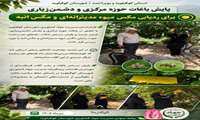 پایش باغات حوزه مرکزی و دشمن زیاری به منظور پایش مگس میوه مدیترانه ای و مگس انبه