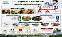 تب مالت؛ بیماری مشترک بین انسان و دام