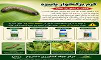 برگخوار پاییزه؛ نحوه شناسایی و راه های مدیریت 