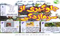 اینفوگراف نکاتی در مورد کاهش خسارت سرمازدگی