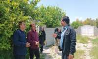 کشت ارقام اقتصادی انگور در کهگیلویه و بویراحمد با هدف افزایش راندمان تولید