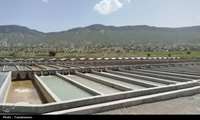 یاسوج در آستانه تبدیل‌شدن به قطب پرورش ماهیان خاویاری جنوب کشور