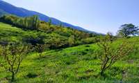 تکه ای از بهشت؛ عکاس: زبیده غلامی؛ مدیریت جهاد کشاورزی شهرستان بویراحمد؛ محل عکاسی: روستای کالوس بویراحمد