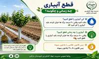 آبیاری درختان را چه زمانی و چگونه قطع کنیم؟