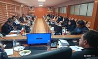 تأکید بر وحدت رویه در توسعه زنجیره گیاهان دارویی کهگیلویه و بویراحمد/ لزوم تدوین طرح توجیهی واحد