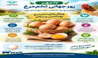 ویژگی های بهداشتی و سالم تخم مرغ