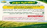 توزیع بذر جو در گچساران 
