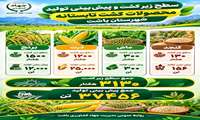 اختصاص سه هزار و ۱۳۰ هکتار از اراضی کشاورزی باشت به کشت محصولات تابستانه