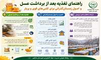 راهنمای تغذیه بعد از برداشت عسل 