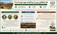 چه عملیاتی پس از برداشت میوه مهم است؟