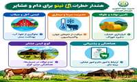  آمادگی در برابر ال نینو برای دام و عشایر