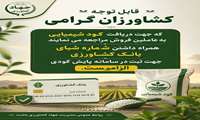 لزوم ارائه شماره شبای بانک کشاورزی برای دریافت کودهای فسفاته و پتاسه