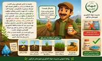 بذرمال چیست؟