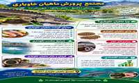 پرورش ماهیان خاویاری در دنا