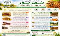 اقدامات کلیدی برای کلنی زنبورعسل جهت زمستان گذرانی موفق