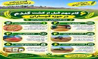 شش گام مهم قبل از کشت گندم در گچساران