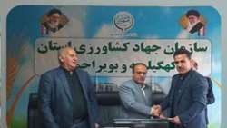 معاون بهبود تولیدات گیاهی منصوب شد