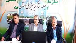 تدابیر ستاد گیاهپزشکی کهگیلویه و بویراحمد برای کشت پاییزه 