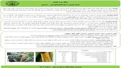 دستورالعمل مبارزه با زنگ زرد گندم