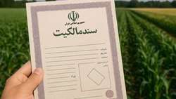 صدور ۳۲۷ سند تک برگ اراضی کشاورزی در باشت