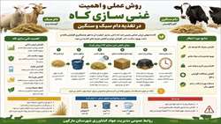 روشهای عملی و اهمیت غنی سازی کاه در تغذیه دام سبک و سنگین 