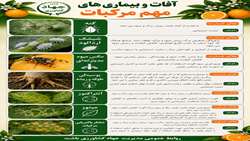 آفات و بیماریهای مرکبات