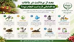 اقدامات بعد از برداشت در باغات