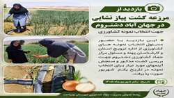 بررسی میدانی و انتخاب نمونه‌های برتر پیاز در دهستان دشتروم شهرستان بویراحمد