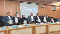 کشت قراردادی؛ گامی راهبردی برای جهش تولید و تثبیت اشتغال
