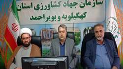 تامین سرمایه در گردش مرغداری ها در مسیر کارآمد سازی یارانه ها در کهگیلویه و بویراحمد
