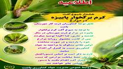  پایش پروانه برگخوار پاییزه در مزارع ذرت باشت