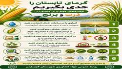 گرمای تابستان را جدی بگیریم (محافظت از غلات در تابستان)