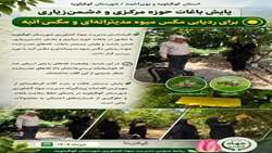 پایش باغات حوزه مرکزی و دشمن زیاری به منظور پایش مگس میوه مدیترانه ای و مگس انبه