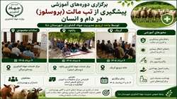 تلاش جهاد کشاورزی دنا برای پیشگیری از شیوع بیماری بروسلوز
