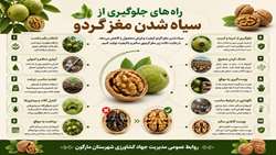 راه های جلوگیری از سیاه شدن مغز گردو